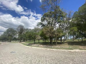 Terreno en Venta en Lomas Flor del Bosque Puebla