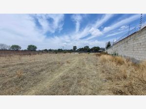 Terreno en Renta en San Francisco Acatepec San Andrés Cholula