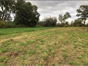 Terreno en Venta en San Francisco Acatepec San Andrés Cholula