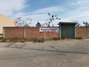 Terreno en Renta en Lomas de Castillotla Puebla