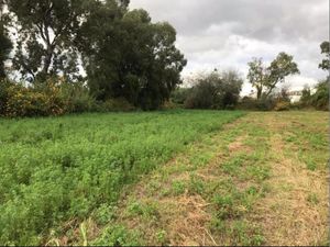 Terreno en Venta en San Francisco Acatepec San Andrés Cholula