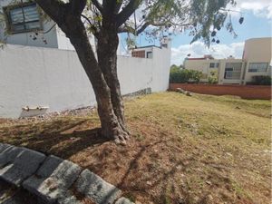 Terreno en Venta en San Bernardino la Trinidad San Andrés Cholula