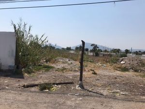 Terreno en Renta en San Juan Tejaluca Atlixco