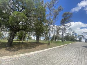 Terreno en Venta en Lomas Flor del Bosque Puebla