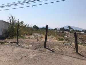 Terreno en Renta en San Juan Tejaluca Atlixco