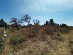 Terreno en Venta en Santa Barbara Almoloya San Pedro Cholula