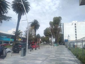 Oficina en Renta en Zona Esmeralda Puebla