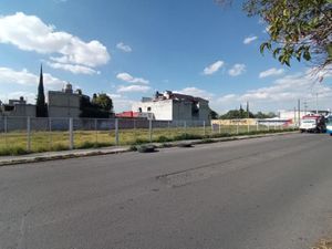 Terreno en Renta en San Felipe Hueyotlipan Puebla