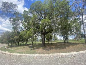 Terreno en Venta en Lomas Flor del Bosque Puebla