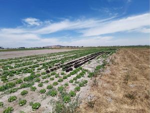 Terreno en Venta en Chipilo de Francisco Javier Mina San Gregorio Atzompa