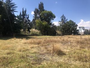 Terreno en Venta en Rancho San Jose Xilotzingo Puebla