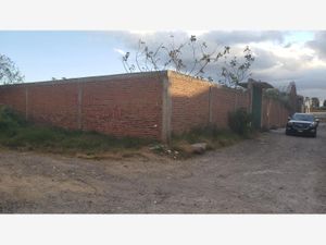 Terreno en Renta en Lomas de Castillotla Puebla