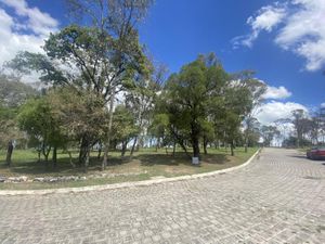 Terreno en Venta en Lomas Flor del Bosque Puebla