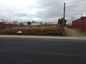 Terreno en Renta en Popular Emiliano Zapata Puebla