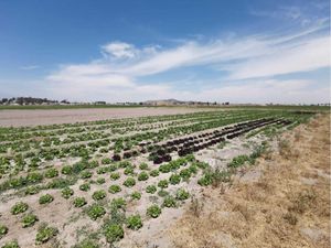 Terreno en Venta en Chipilo de Francisco Javier Mina San Gregorio Atzompa