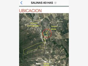 Terreno en Venta en Salinas Salinas Victoria