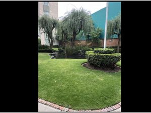 Departamento en Renta en Cuajimalpa Cuajimalpa de Morelos