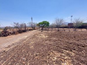 Terreno en Venta en Puente Grande Tonalá