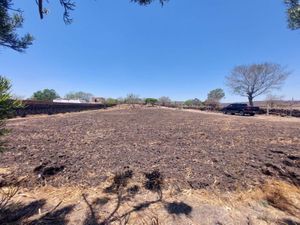 Terreno en Venta en Puente Grande Tonalá