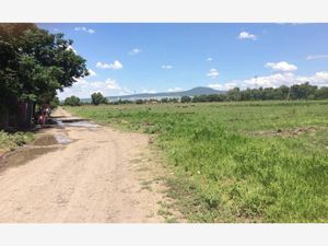 Terreno en Venta en El Romeral Corregidora