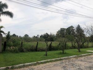 Terreno en Venta en Valle Real Zapopan