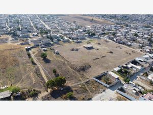 Terreno en Venta en Santa Ana Tepetitlan Zapopan