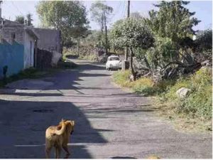 Terreno en Venta en Cerrillos Segunda Sección Xochimilco