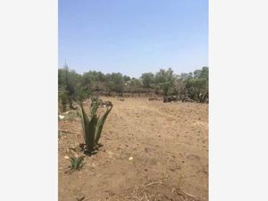 Terreno en Venta en Cerrillos Segunda Sección Xochimilco