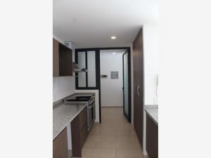 Departamento en Renta en Mercurio Querétaro