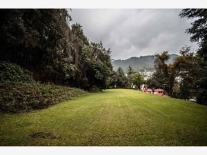 Terreno en Renta en San Francisco Ayotuzco Huixquilucan