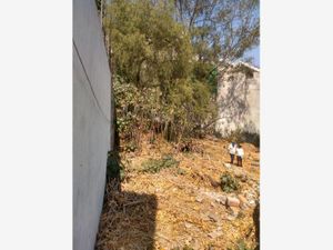 Terreno en Venta en Santa Maria Tepepan Xochimilco