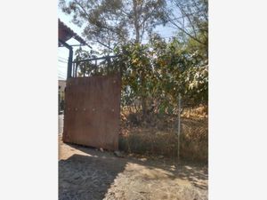 Terreno en Venta en Santa Maria Tepepan Xochimilco