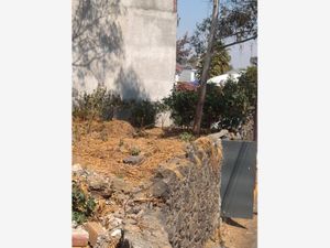 Terreno en Venta en Santa Maria Tepepan Xochimilco