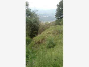 Terreno en Venta en Huiloteapan (San José Huiloteapan) Huixquilucan