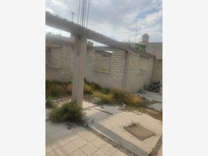 Terreno en Venta en Lindavista Zinacantepec