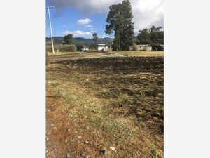 Terreno en Venta en Raices Zinacantepec