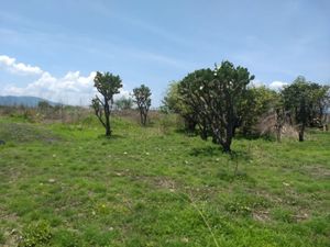 Terreno en Venta en Tequesquitengo Jojutla