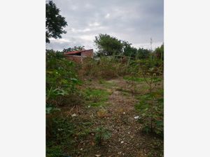 Terreno en Venta en Lazaro Cardenas Cuautla