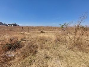 Terreno en Venta en Vicente Guerrero Cuautla