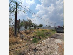 Terreno en Venta en Los Mangos Yautepec