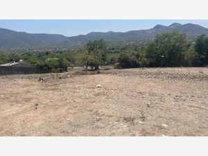 Terreno en Venta en Ticumán Tlaltizapán de Zapata