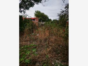 Terreno en Venta en Lazaro Cardenas Cuautla