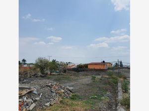 Terreno en Venta en Los Mangos Yautepec