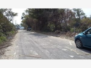 Terreno en Venta en Santa Cruz Cuautla