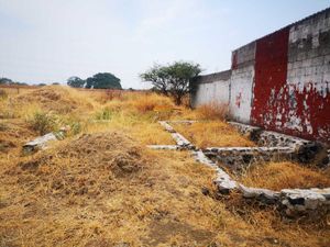 Terreno en Venta en Yecapixtla Yecapixtla