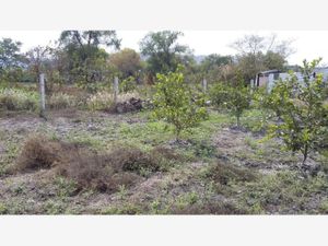 Terreno en Venta en Santa Cruz Cuautla