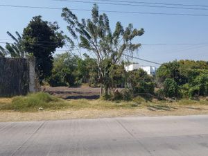 Terreno en Venta en Viyautepec Yautepec