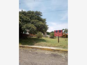 Terreno en Venta en Vergeles de Oaxtepec Yautepec