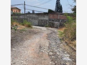 Terreno en Venta en Los Mangos Yautepec