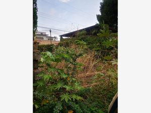 Terreno en Venta en Lazaro Cardenas Cuautla